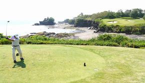 画像の説明 画像の説明