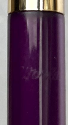 吸入式万年筆 World  軸色紫　B399